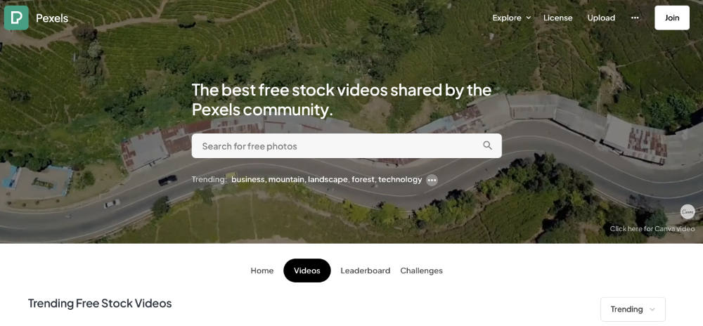 pexels free stock video